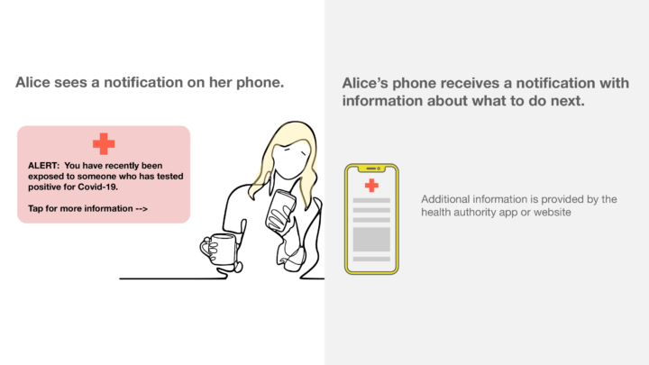 Screenshot of Google and Apple's overview of their contact tracing proposal