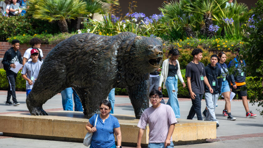 Photograph of various students walking past a statue of a bear. In the background there are some palm tries and shrubs.