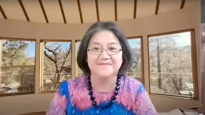 Bùi Như Mai faces the camera in a screenshot of a YouTube video
