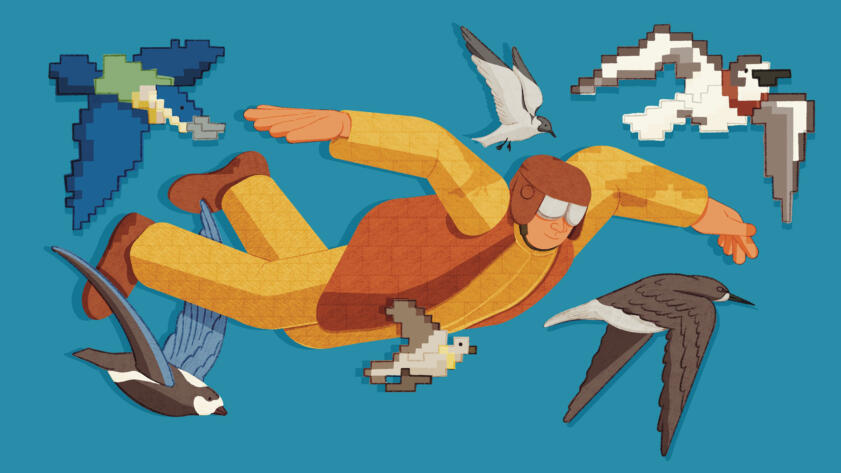 Illustration of a scientist with outstretched arms, resembling a bird in flight, surrounded by a diverse array of bird species, some of which are pixelated