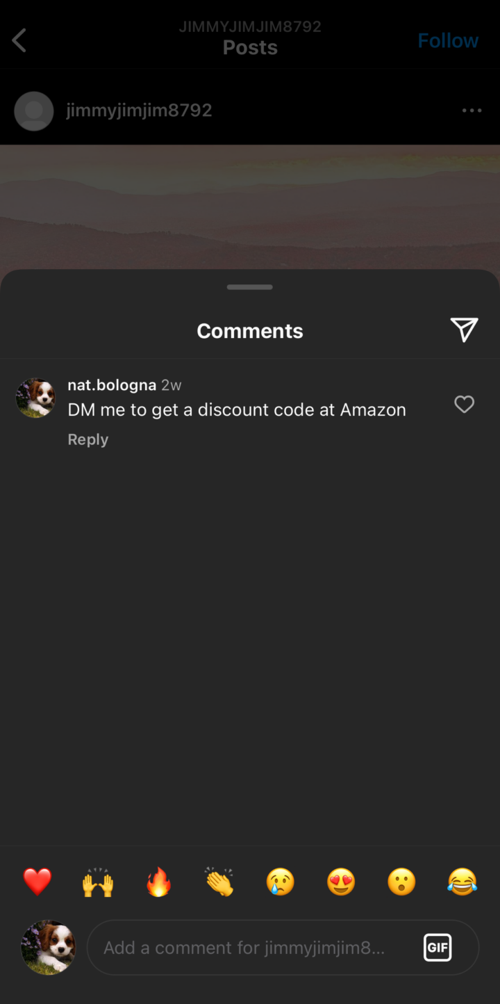A spam comment is visible under an Instagram post.