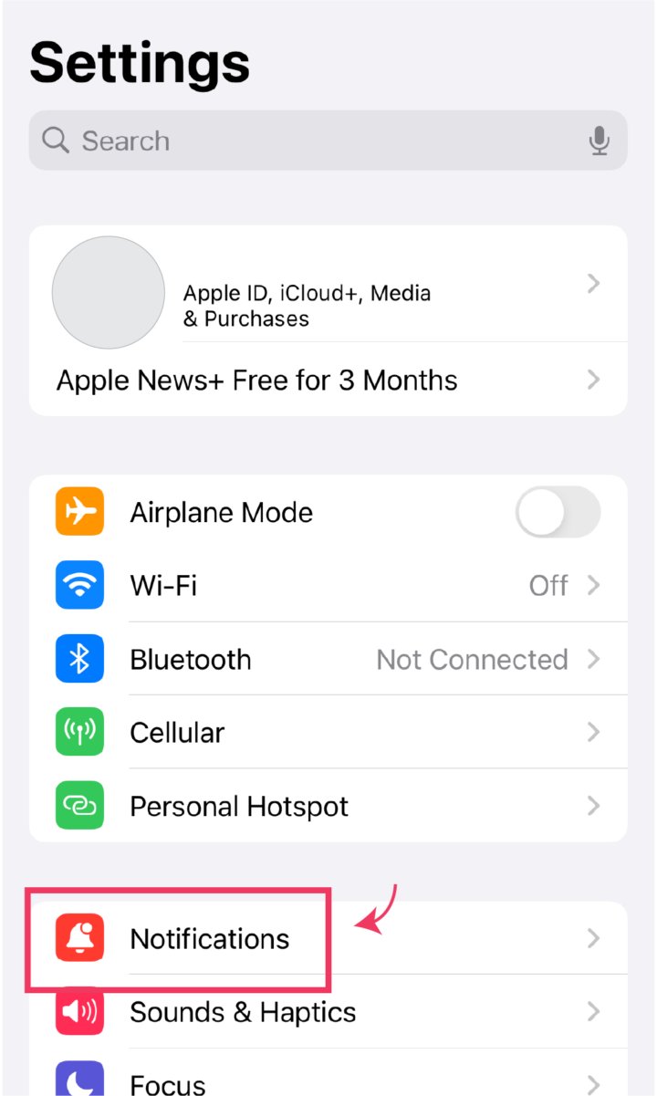 Screenshot of iPhone Settings