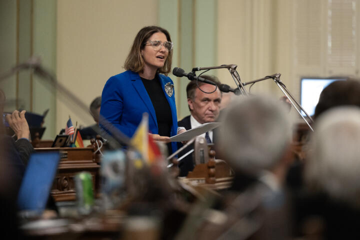 A person in a bright blue blazer and glasses speaks into a microphone while addressing a legislative session. They hold a sheet of paper and stand at a podium in a room filled with desks, microphones, and small flags. Other individuals, some seated and listening, are visible in the background. The setting appears to be a government chamber with high ceilings and traditional decor.