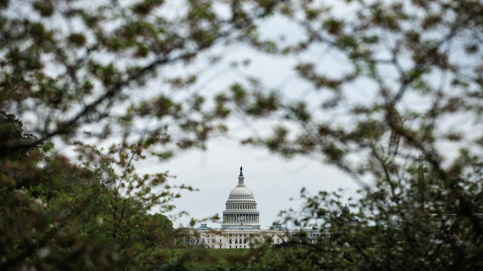 The U.S. Capitol Building is in the bottom center of the frame, with branches of trees arched on each side of the building.