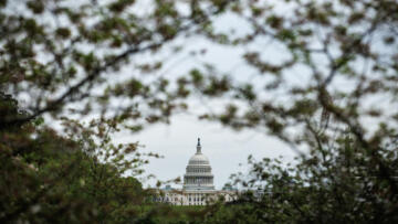 The U.S. Capitol Building is in the bottom center of the frame, with branches of trees arched on each side of the building.